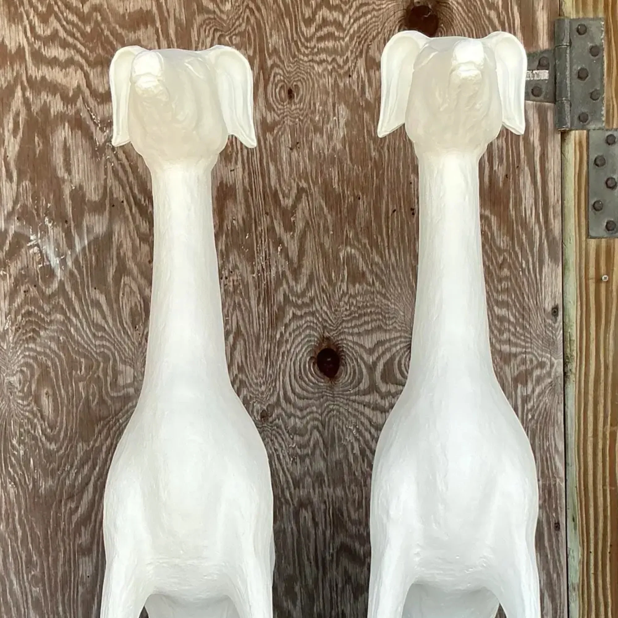 Pair of White Greyhounds - Image 4