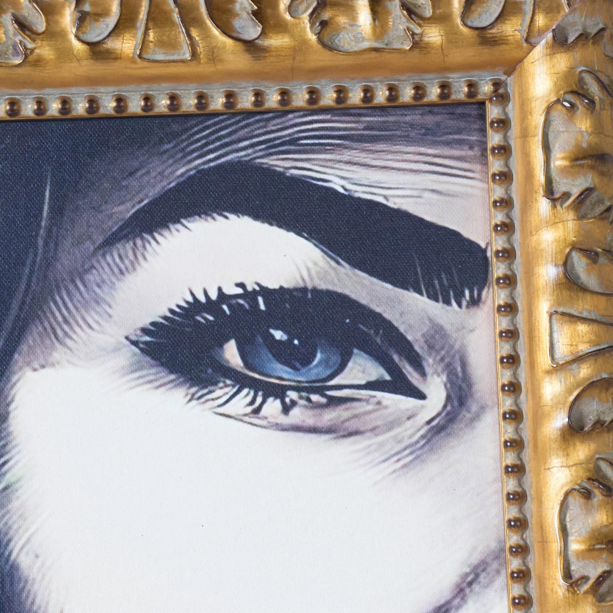 Pearl - Multi Frame Portrait - Image 7