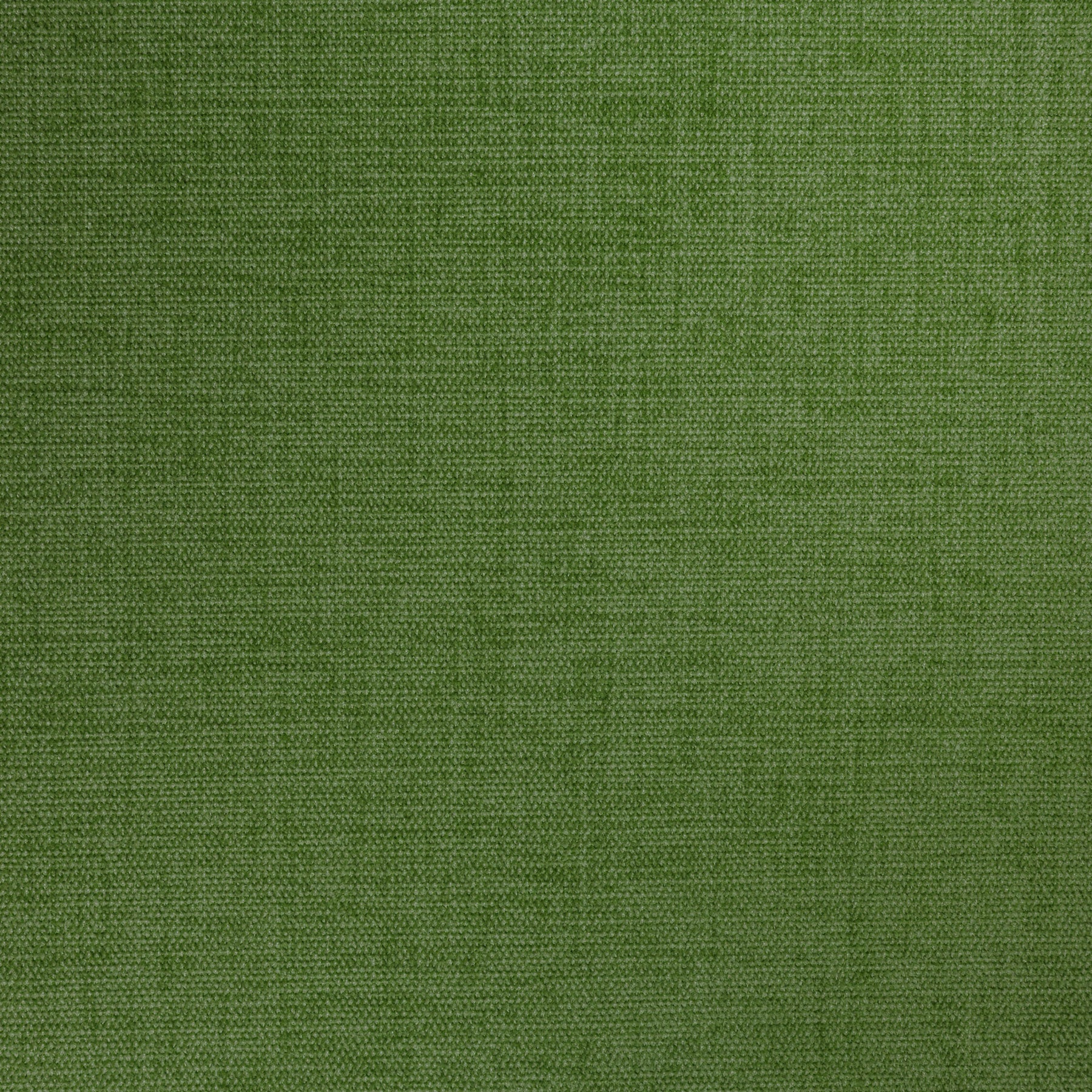 Pierre Moss Woven Fabric