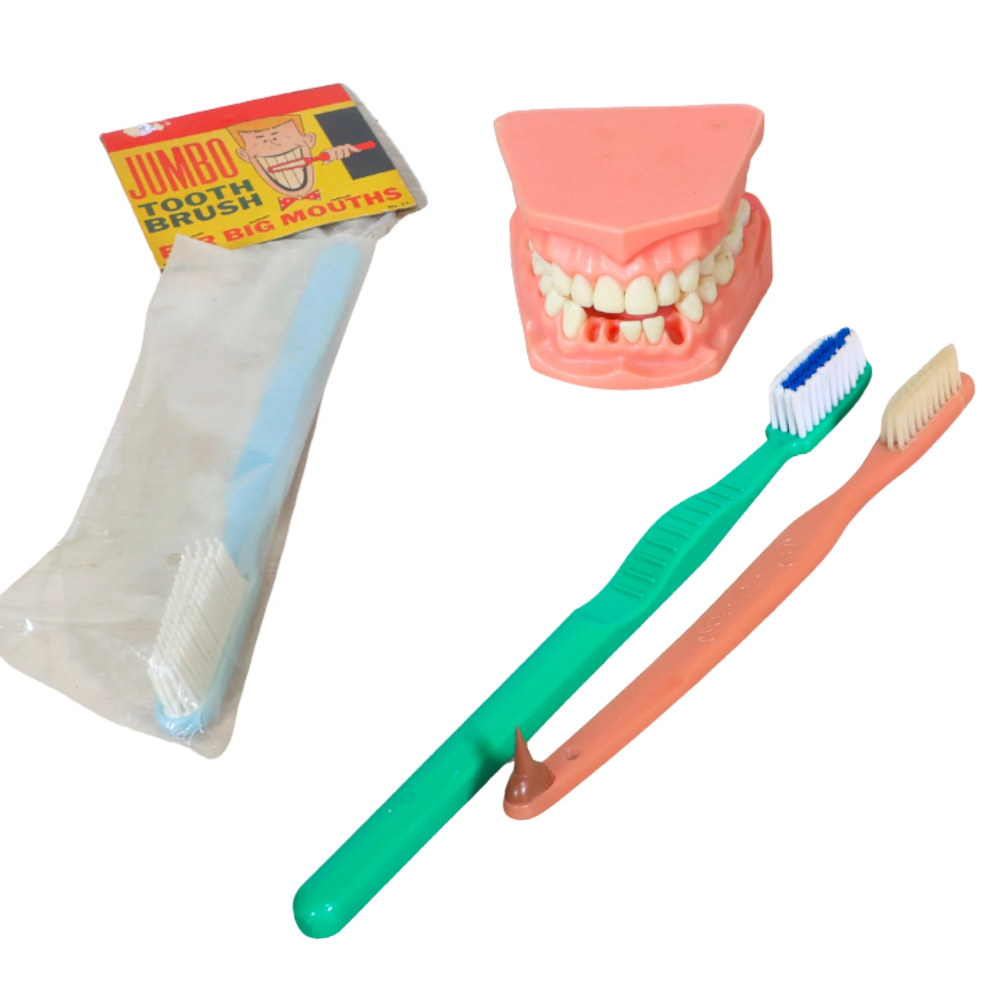 Collection of Jumbo Toothbrushes & Dental Mold