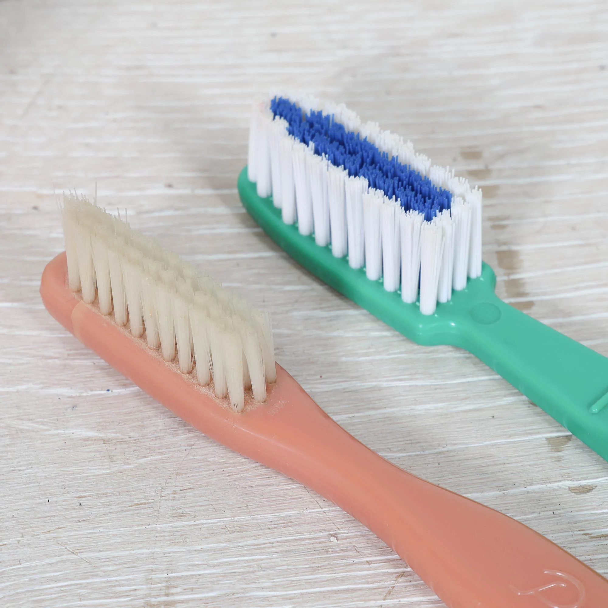 Collection of Jumbo Toothbrushes & Dental Mold - Image 3