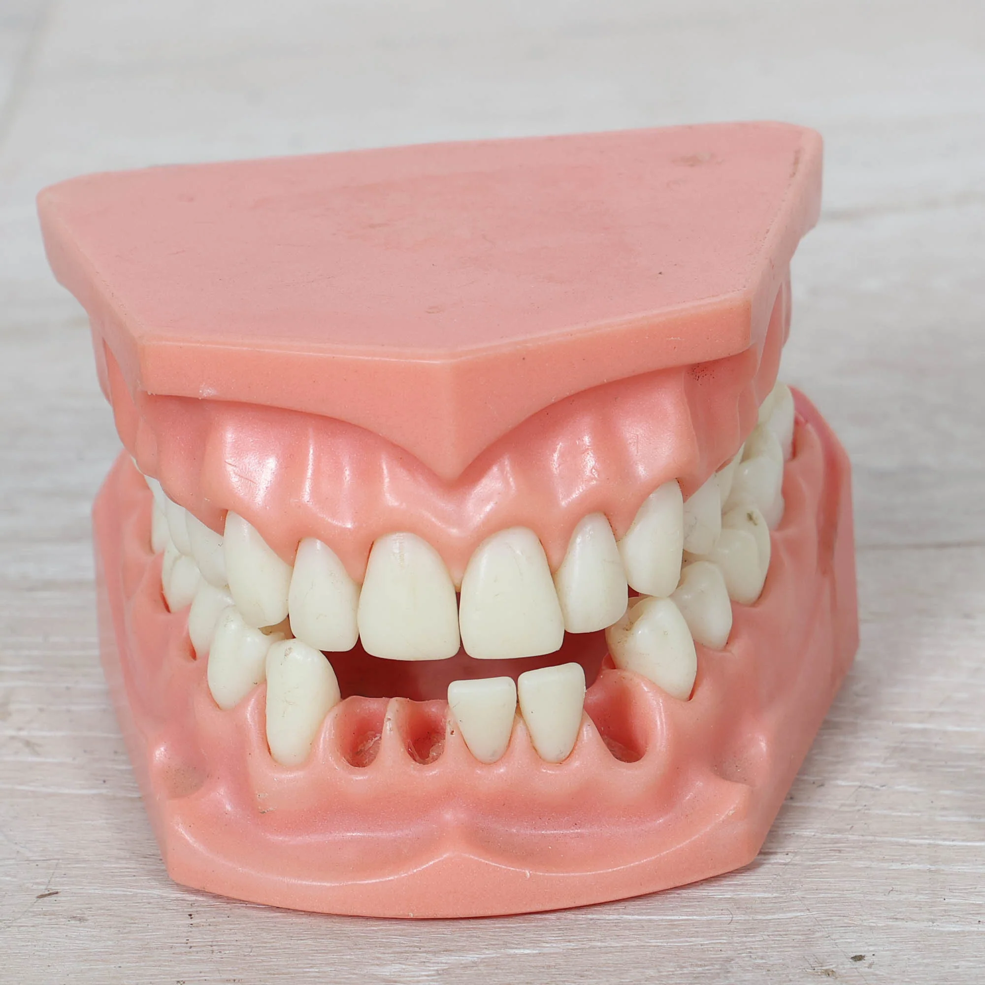 Collection of Jumbo Toothbrushes & Dental Mold - Image 5