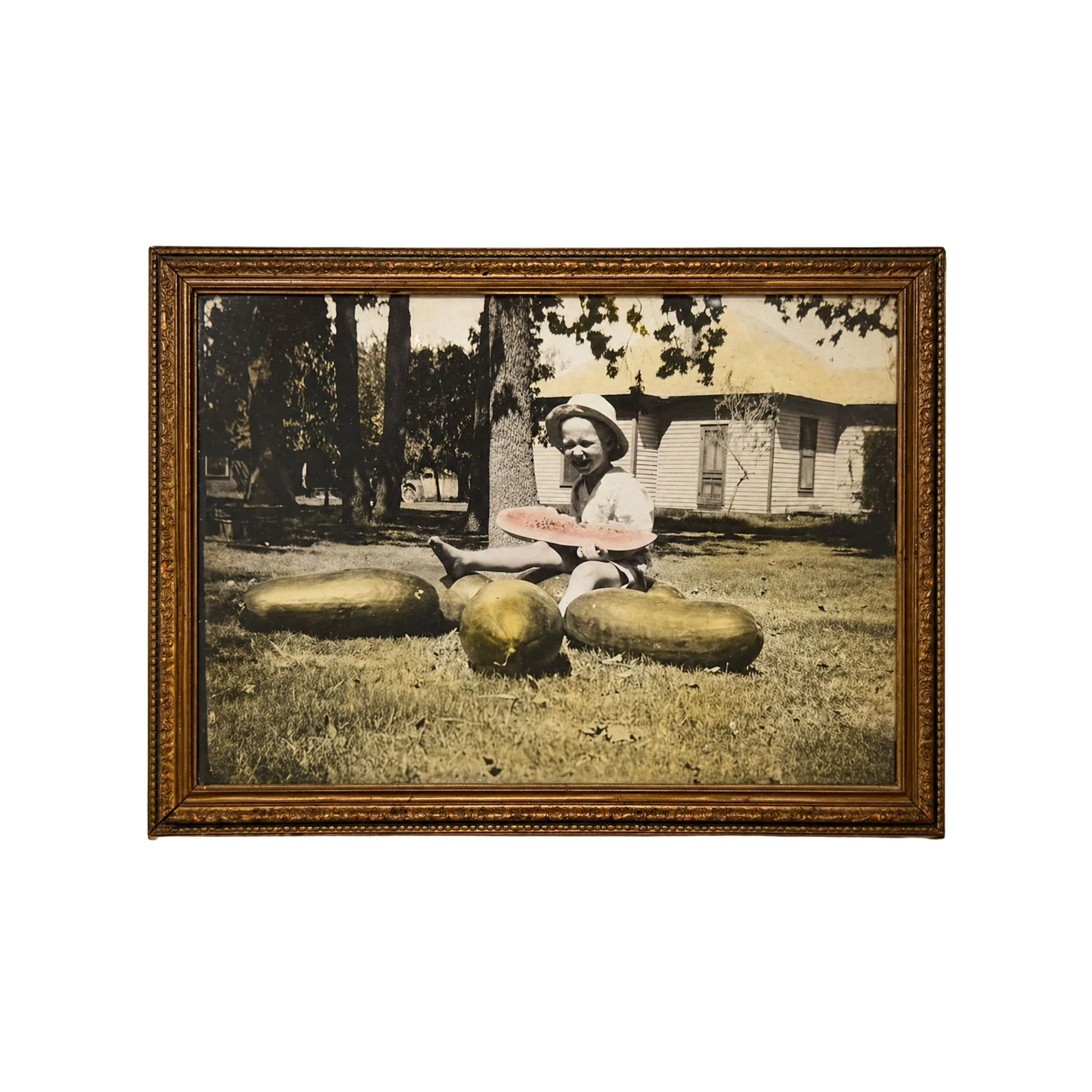 Framed Vintage Watermelon Feast Photograph