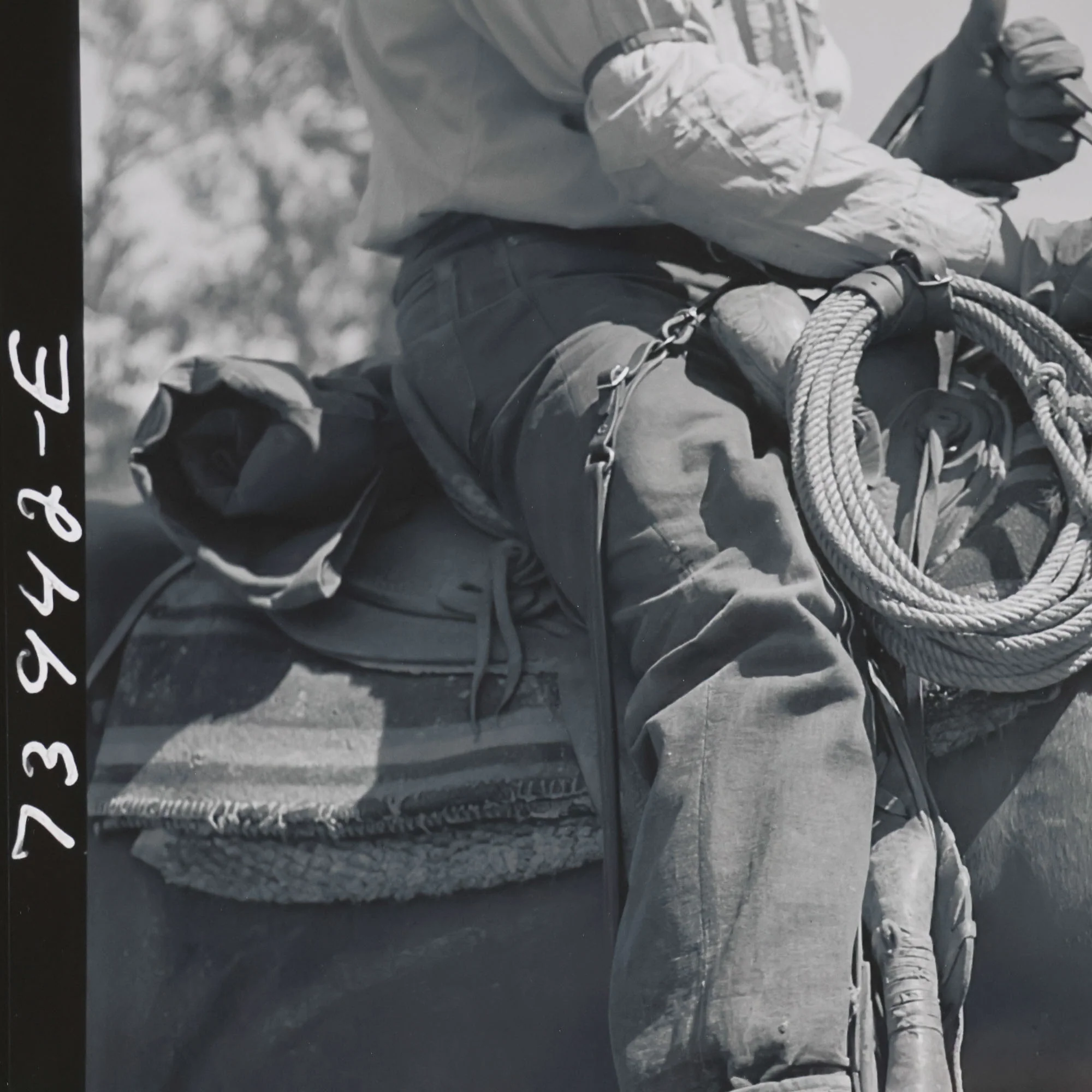 Saddled Up Slide - Image 2