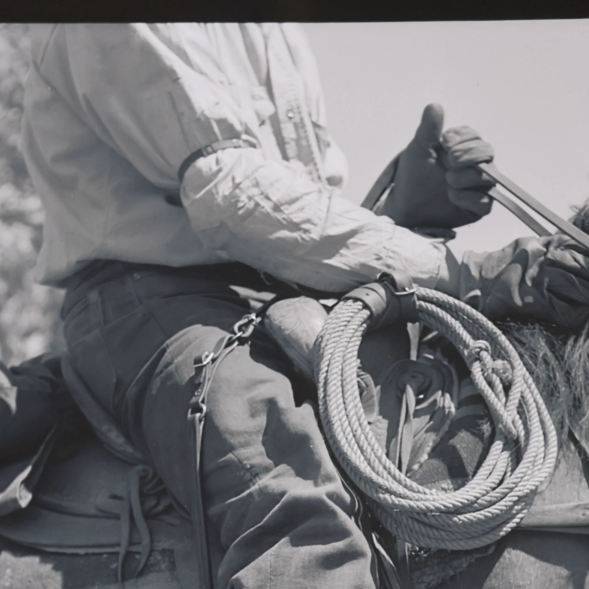 Saddled Up Slide - Image 3