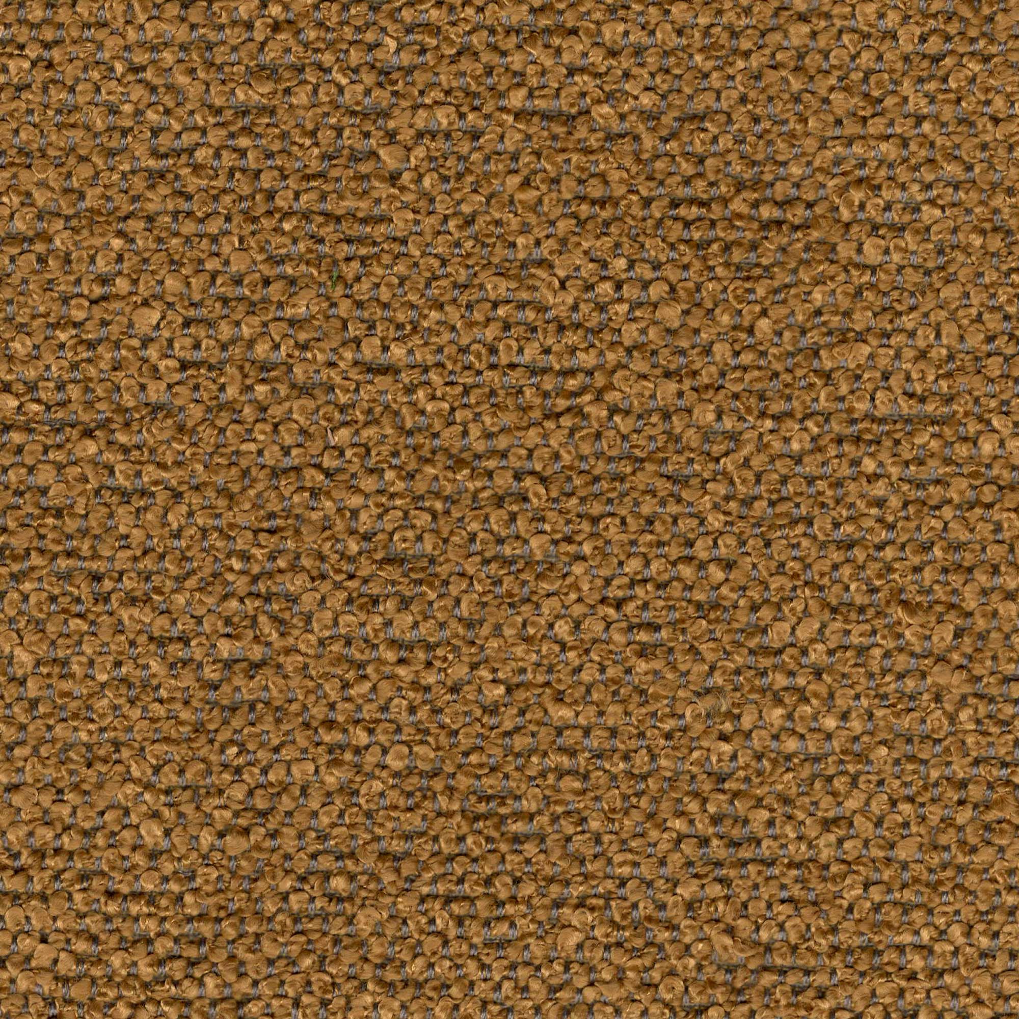 Sankaty Camel Boucle Fabric