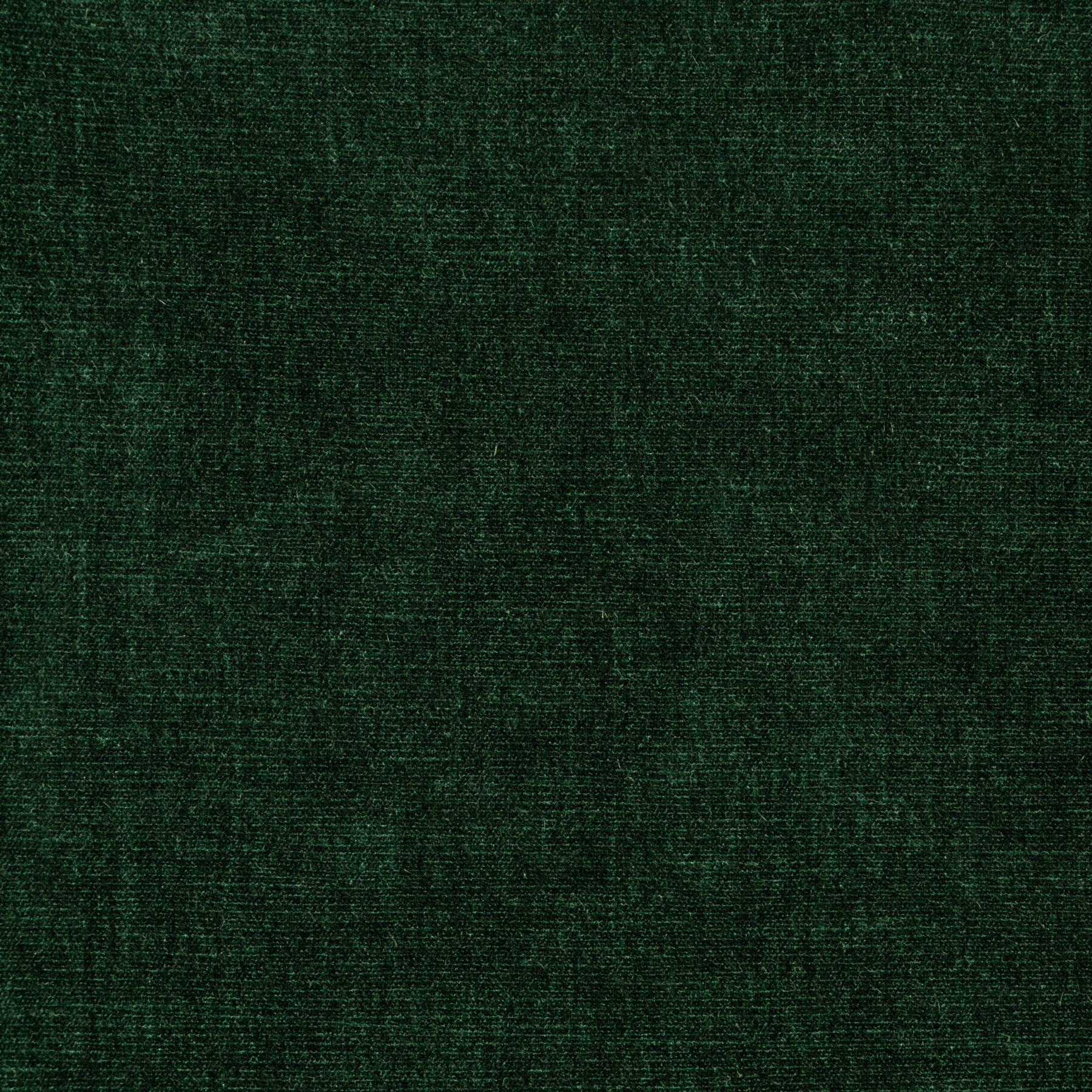 Stacy Emerald Velvet Fabric