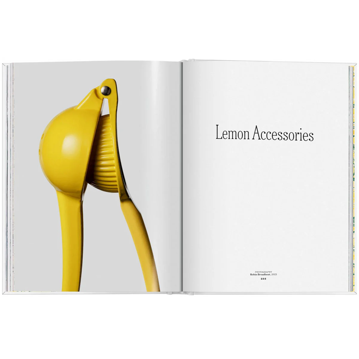 The Gourmand's Lemon. A Collection of Stories and Recipes. - Image 7