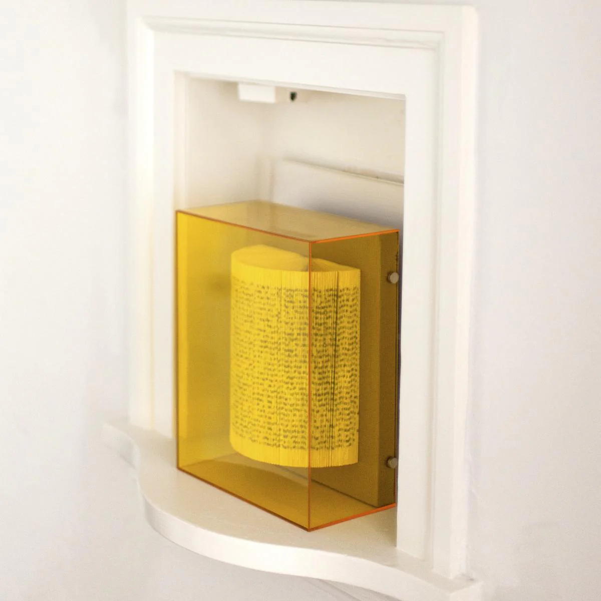 The Library Is Open Amber - Image 3
