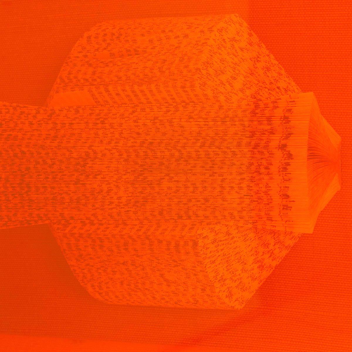 The Library Is Open Citrus - Image 4