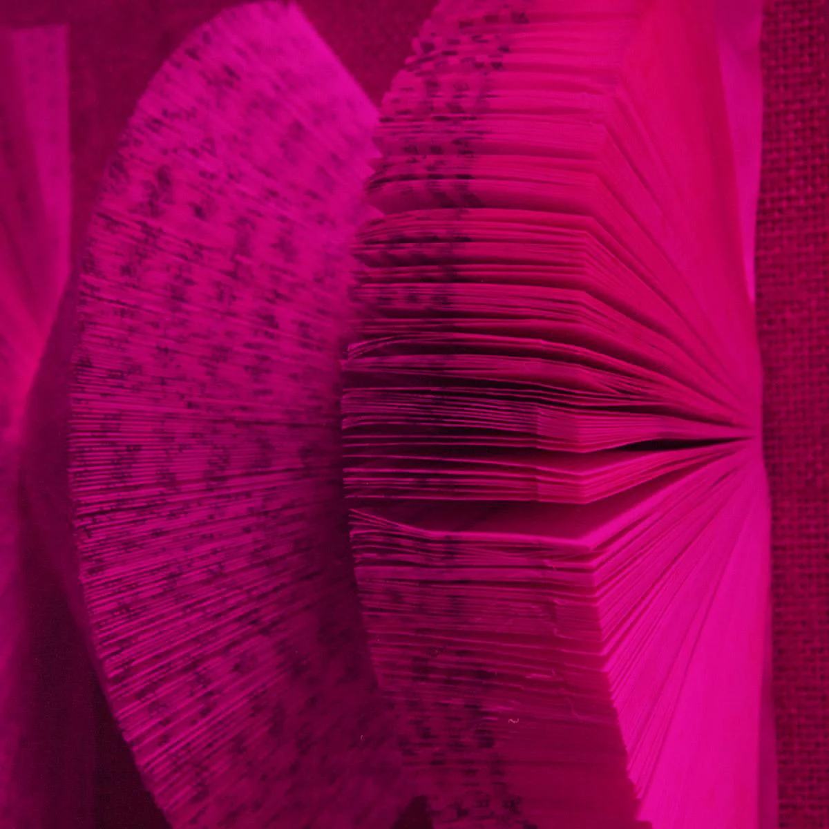 The Library Is Open Magenta - Image 3
