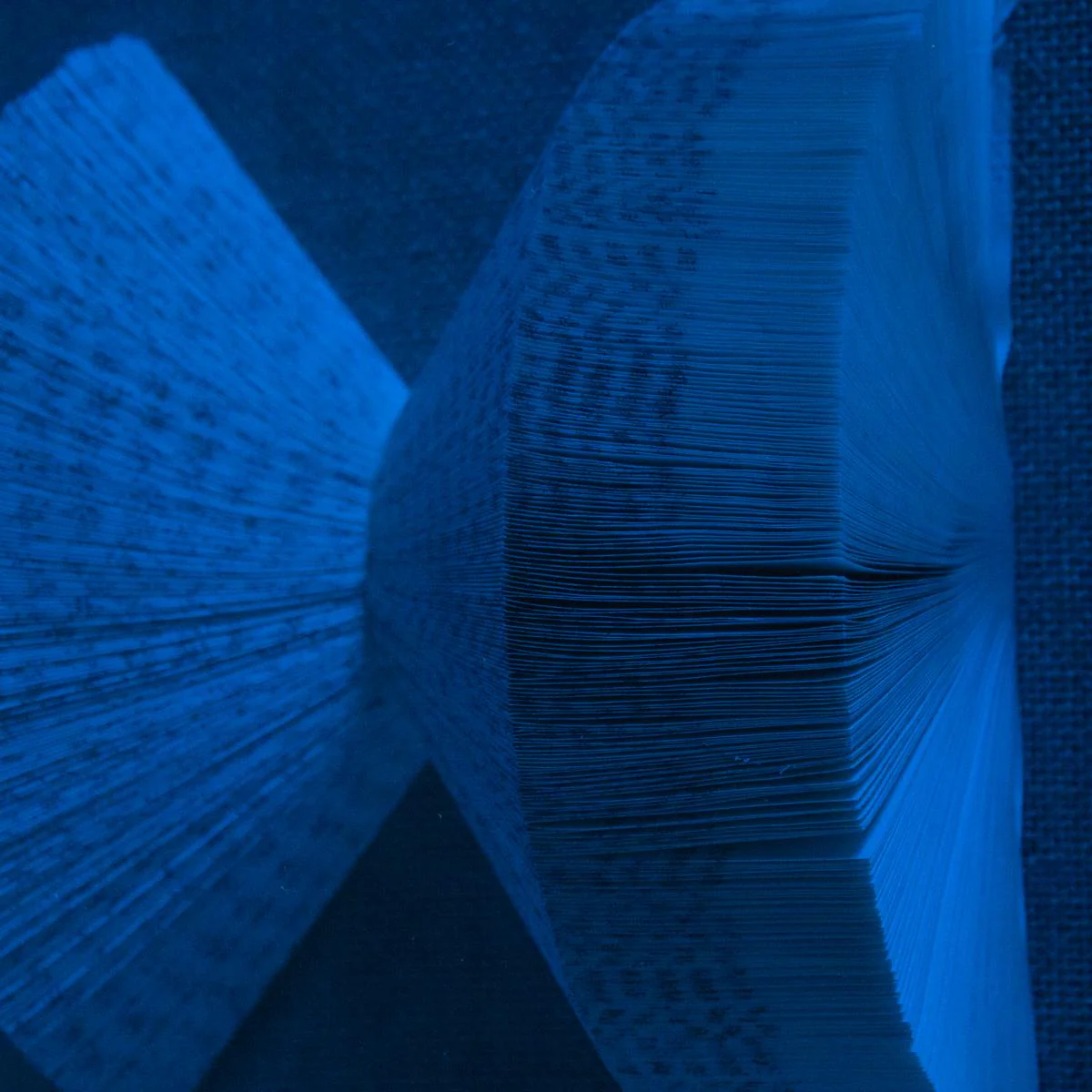 The Library Is Open Royal Blue - Image 4
