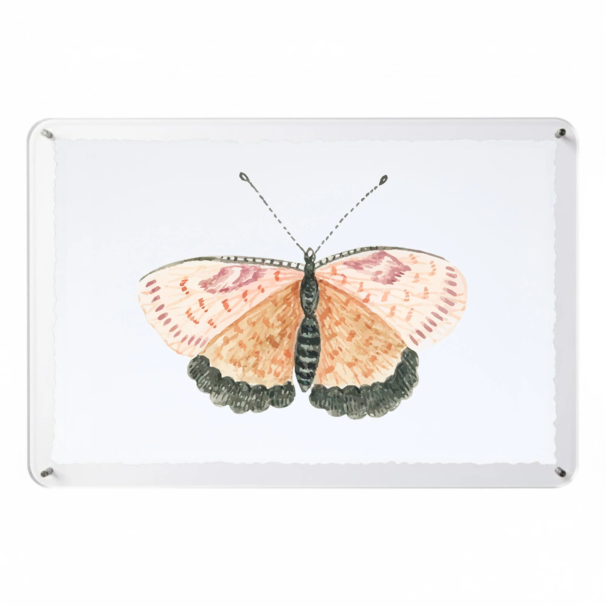 Titali in Acrylic - Dust