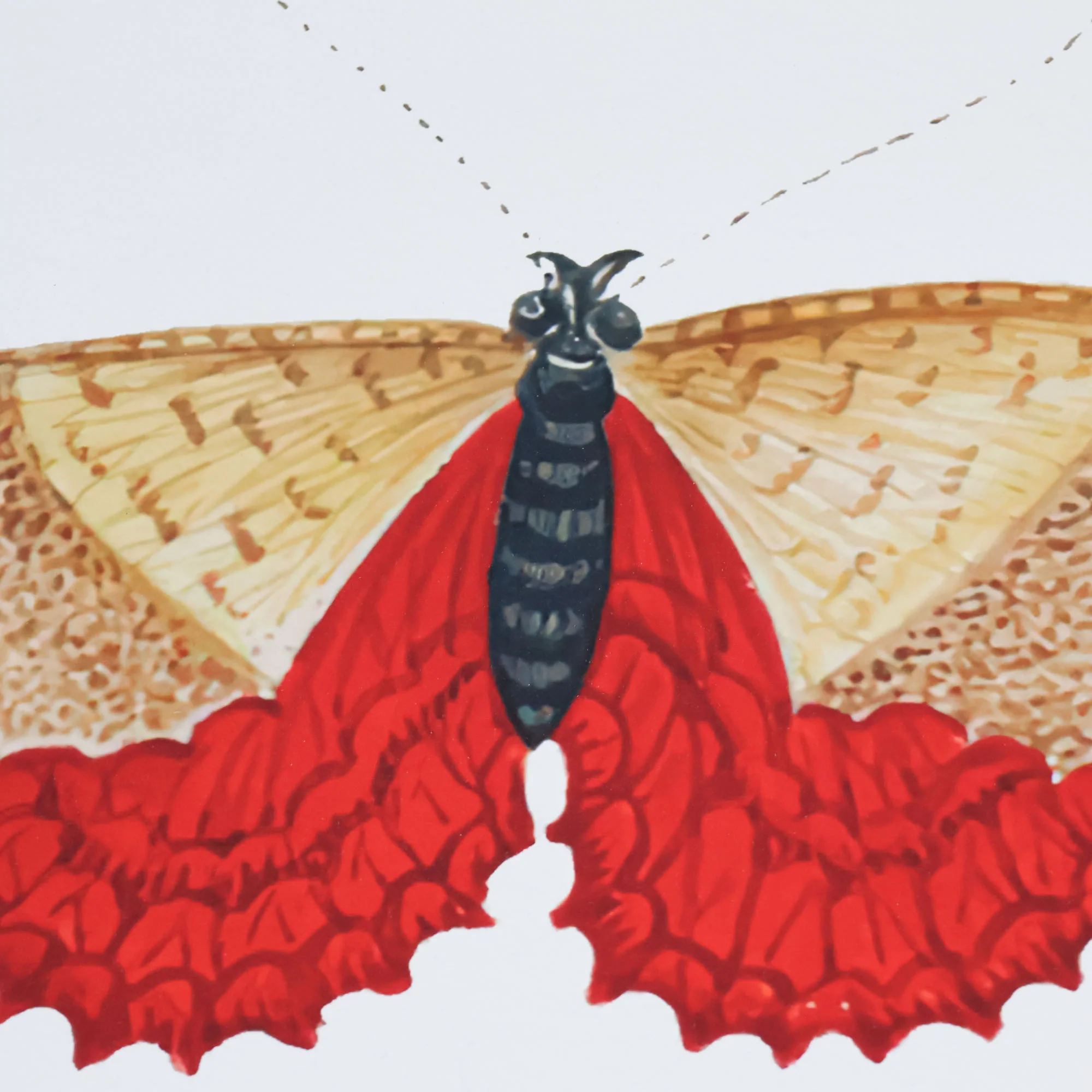 Titali in Acrylic - Persimmon - Image 2