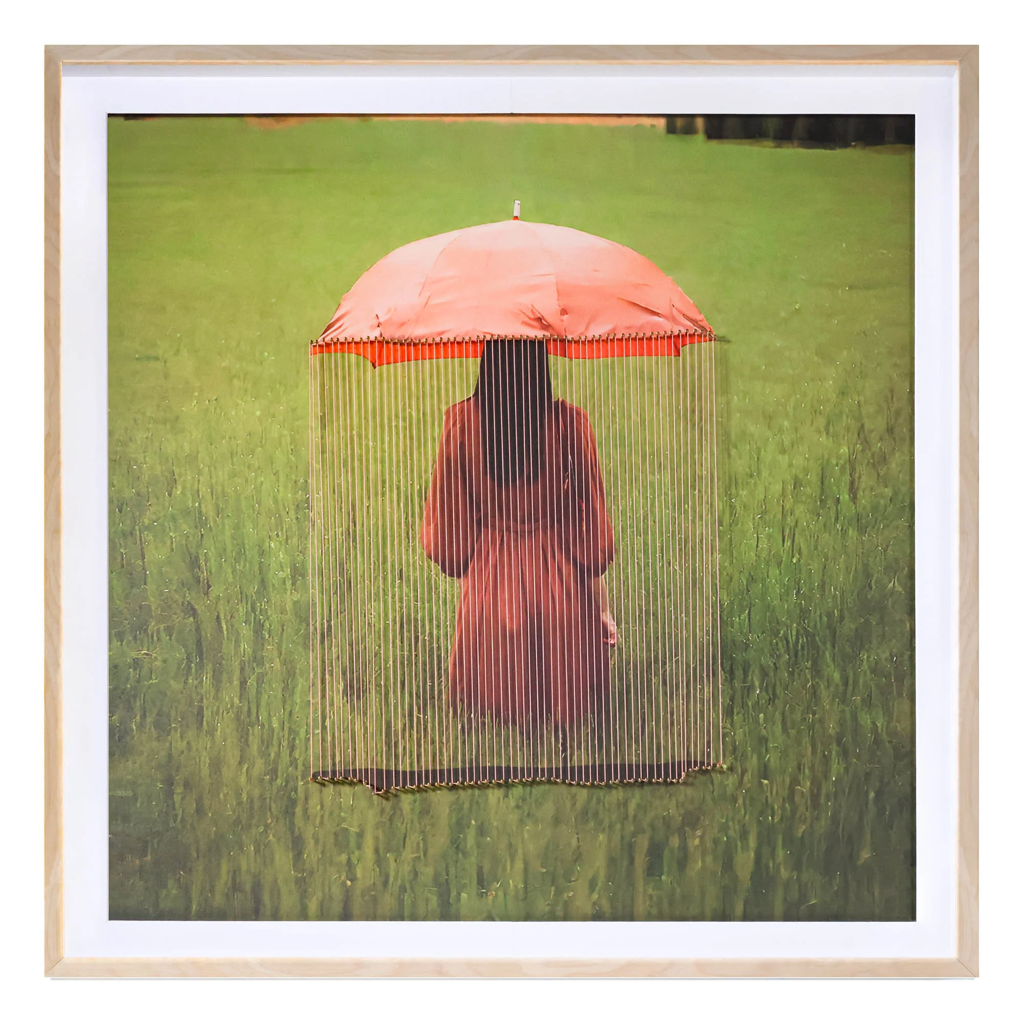 Umbrella String Series - Willow