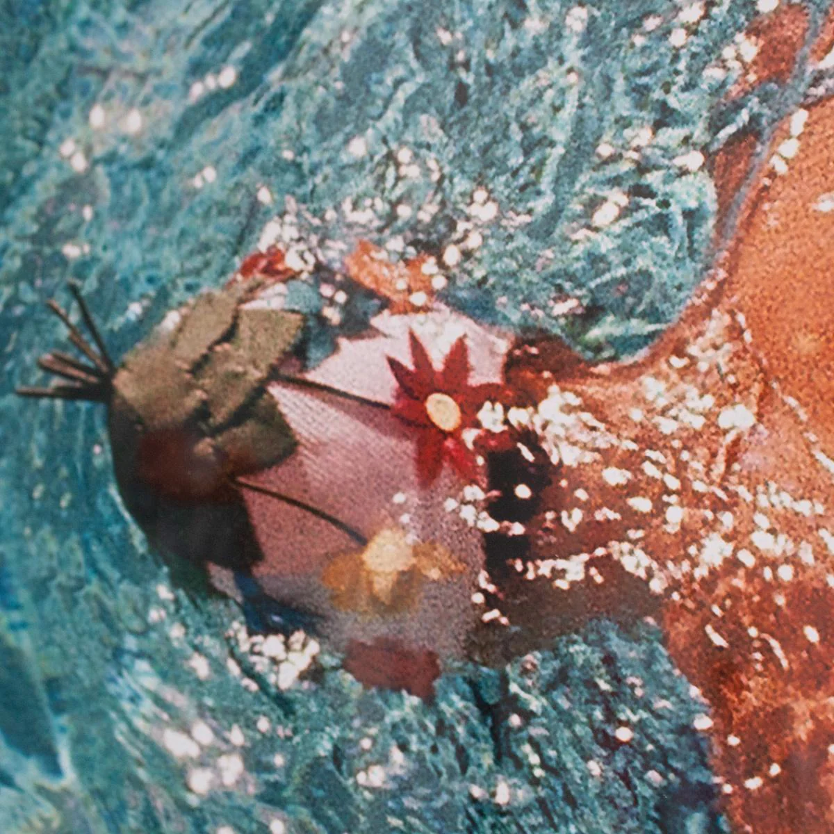 Vogue 'Women In Swimming Pool' by Fred Lyon - Image 5