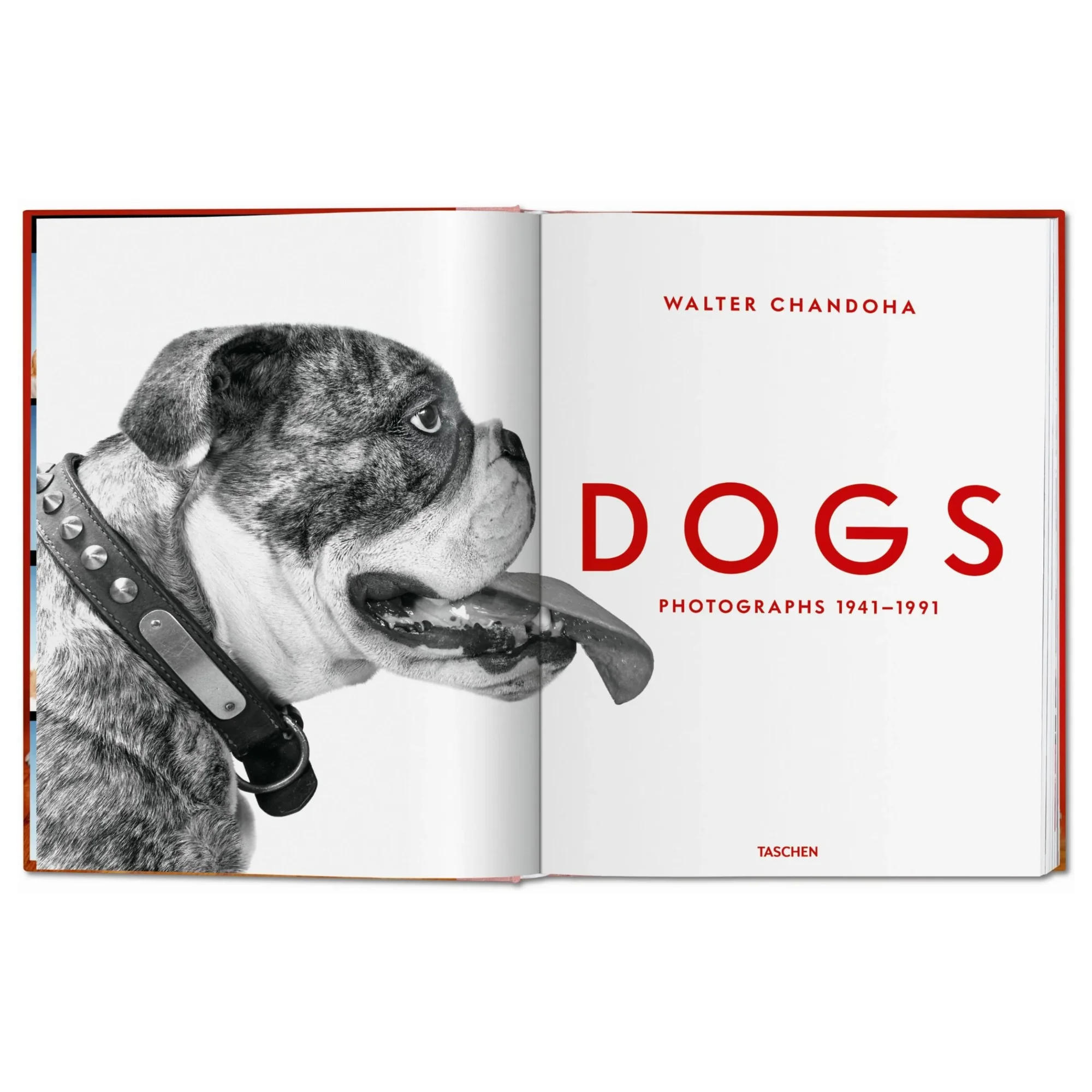 Walter Chandoha. Dogs. Photographs 1941–1991 - Image 2